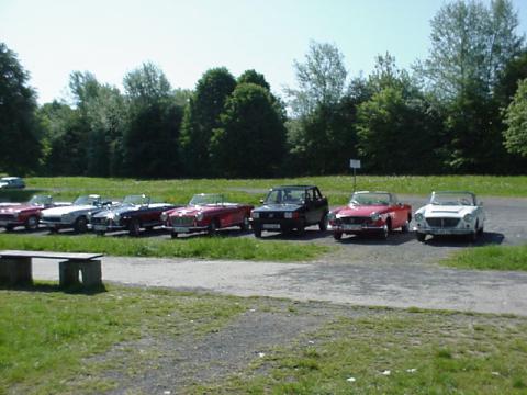 19.jpg